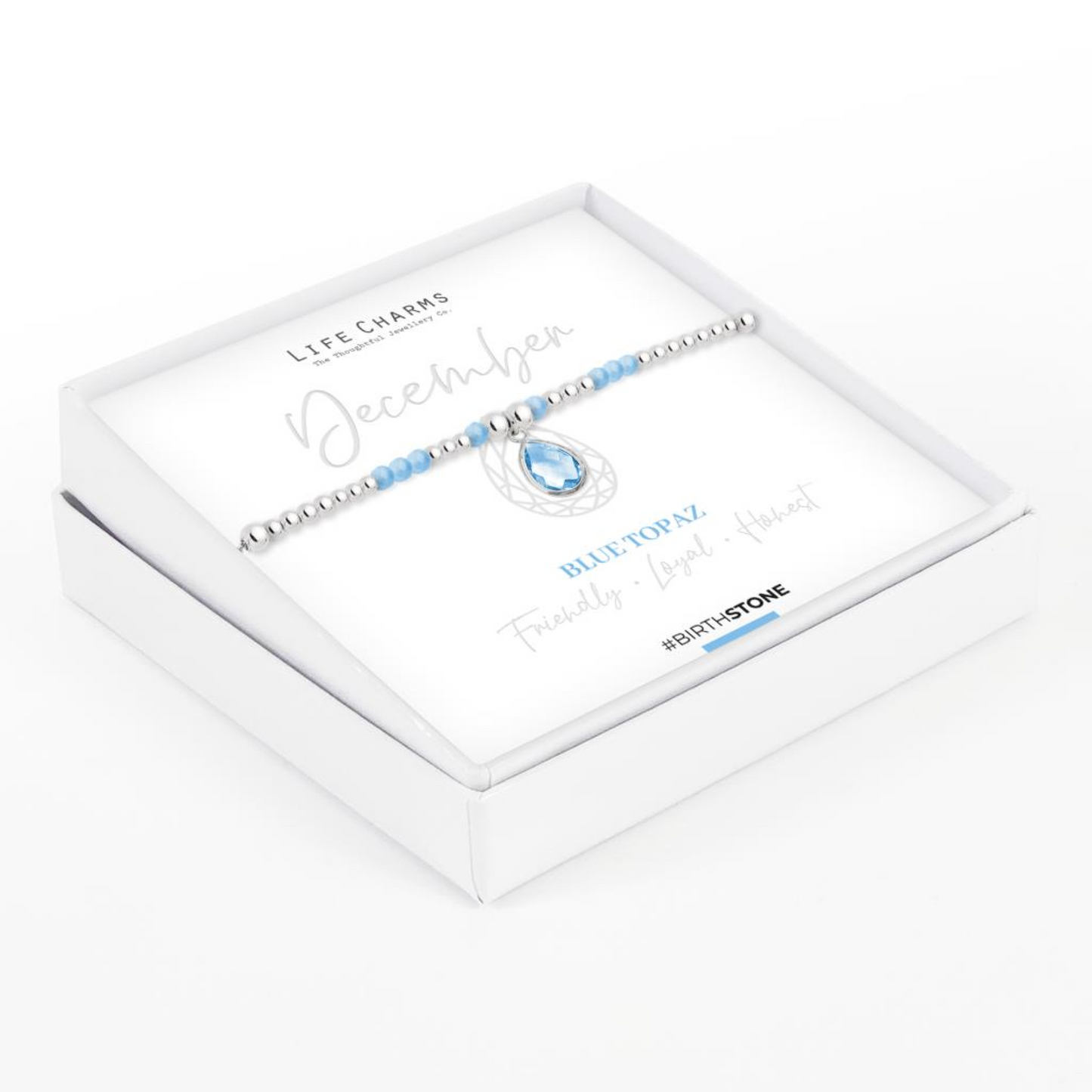 Life Charms December Bracelet