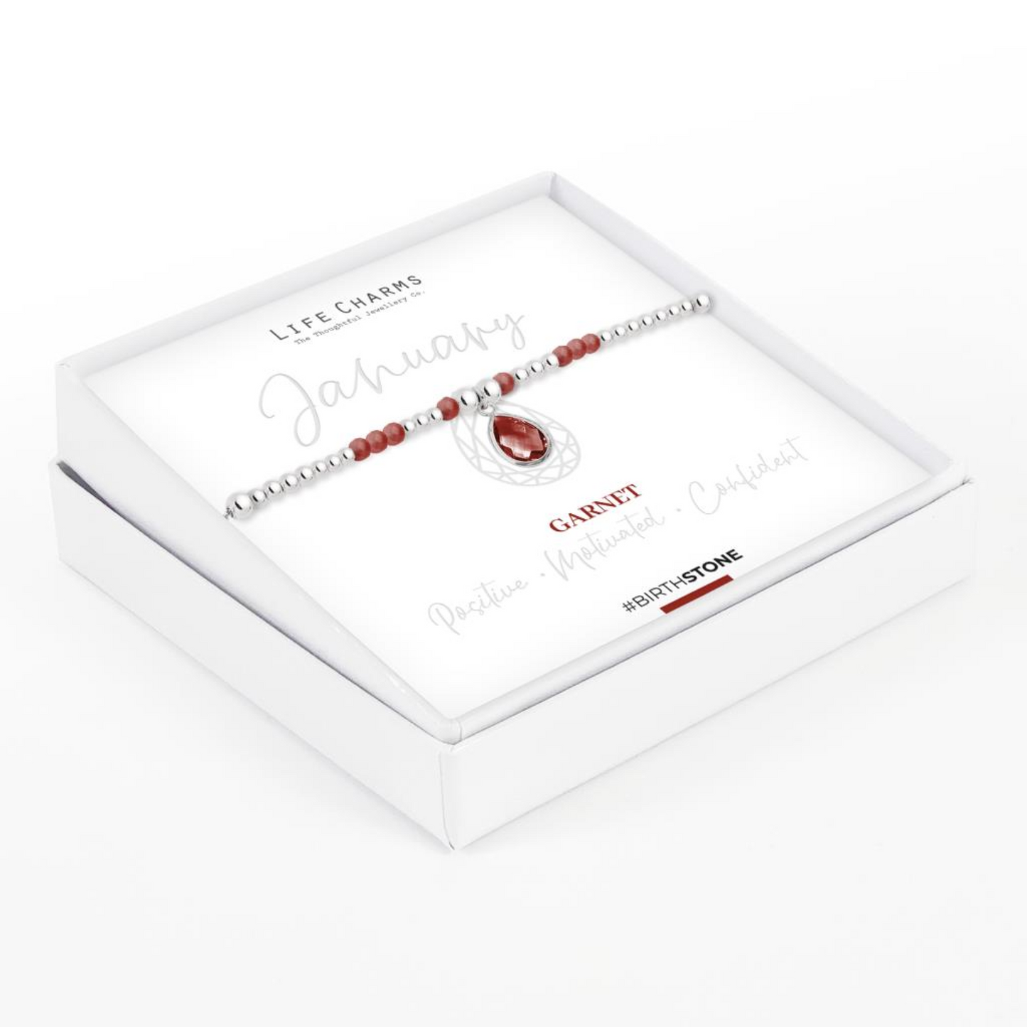 Life Charms January Bracelet