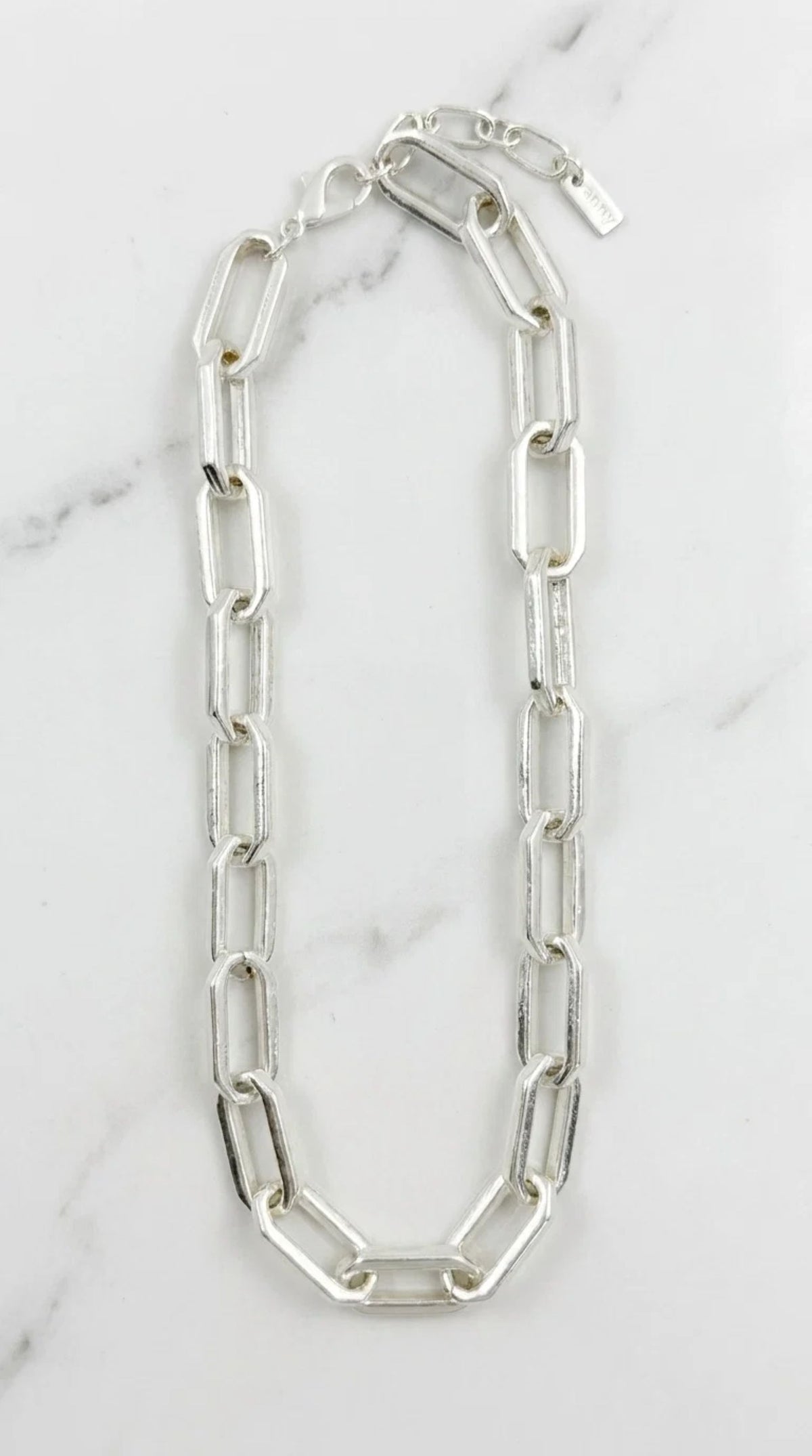 Envy Silver Large Link Necklace