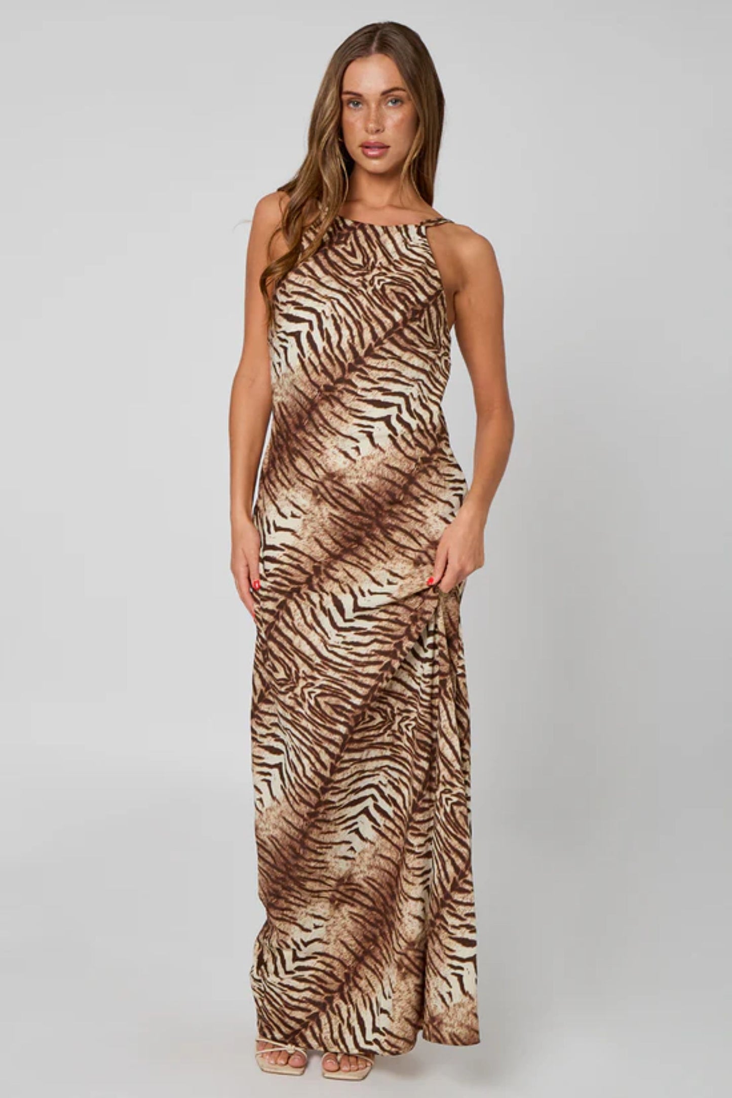 Brown Zebra Print Maxi Dress