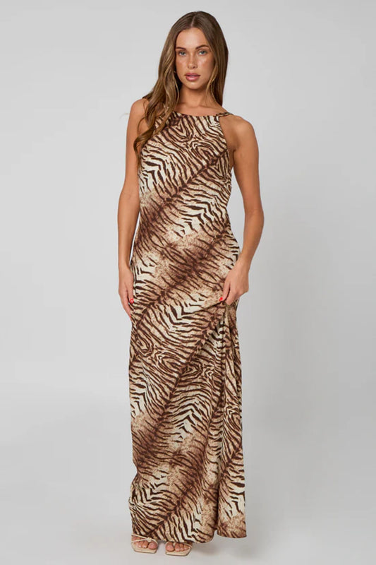 Brown Zebra Print Maxi Dress