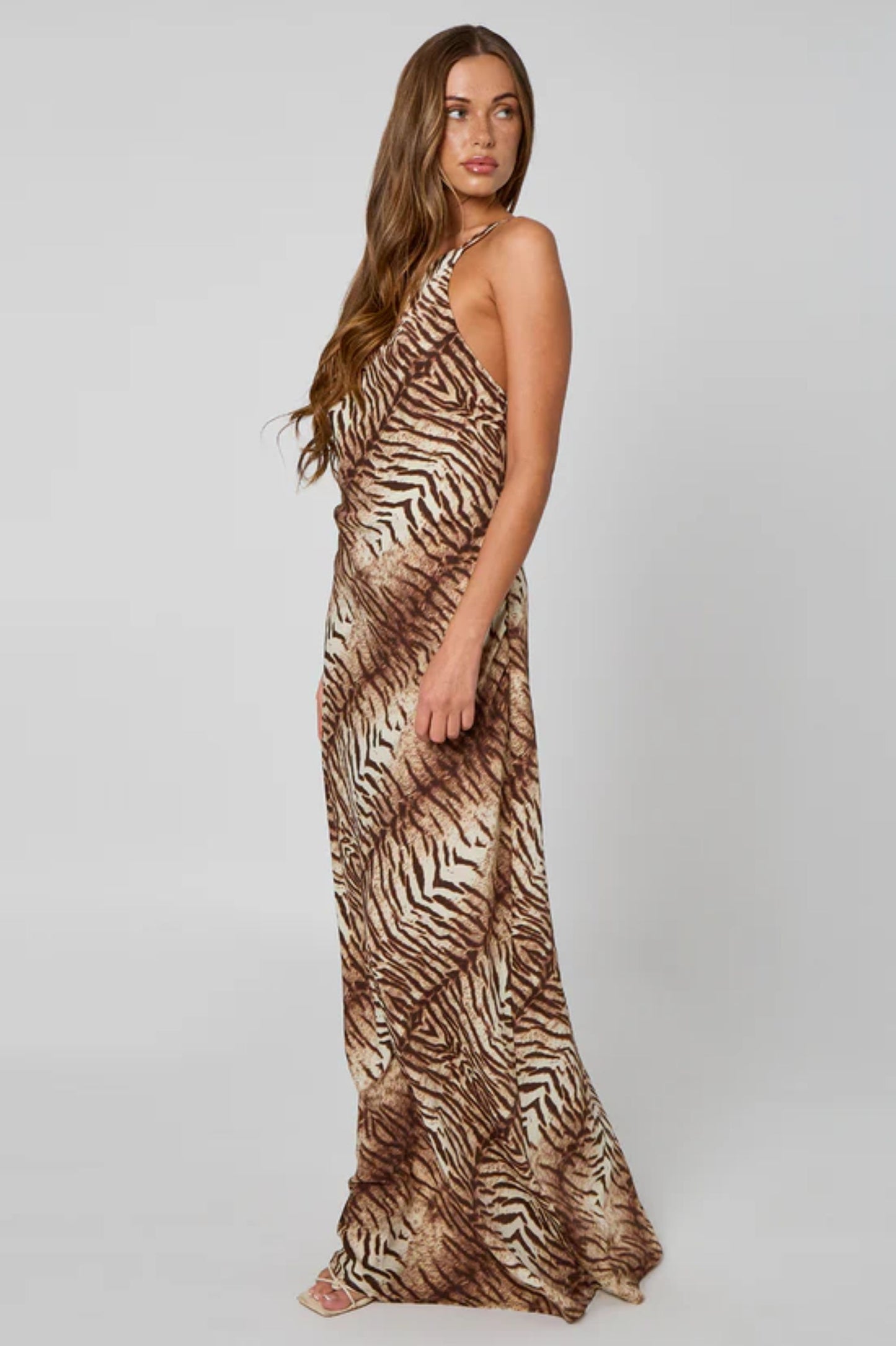 Brown Zebra Print Maxi Dress