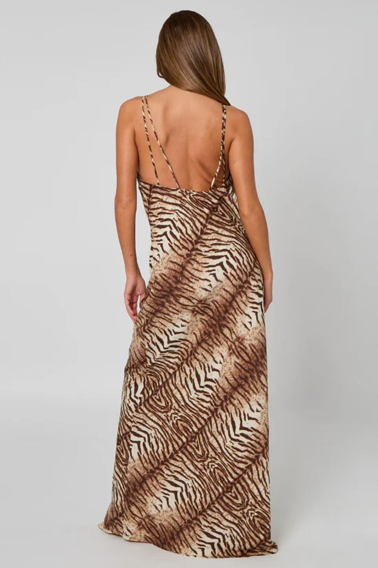 Brown Zebra Print Maxi Dress