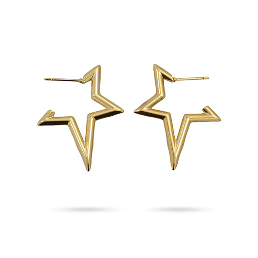 Anartxy Gold Hoop Star Shape Earring - CPE705